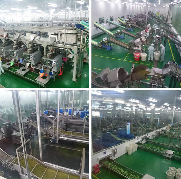 Buy Chinese Halal Snack Foods Meat Floss Flavor Sunflower Seeds from