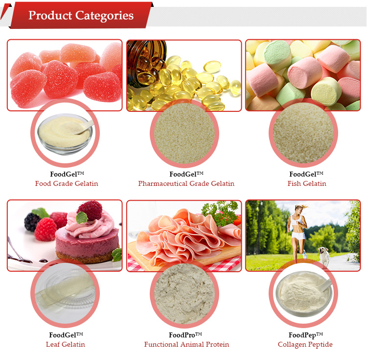 Buy Halal Kosher Bovine Edible Gelatine Gelatin Powder Or Granular from
