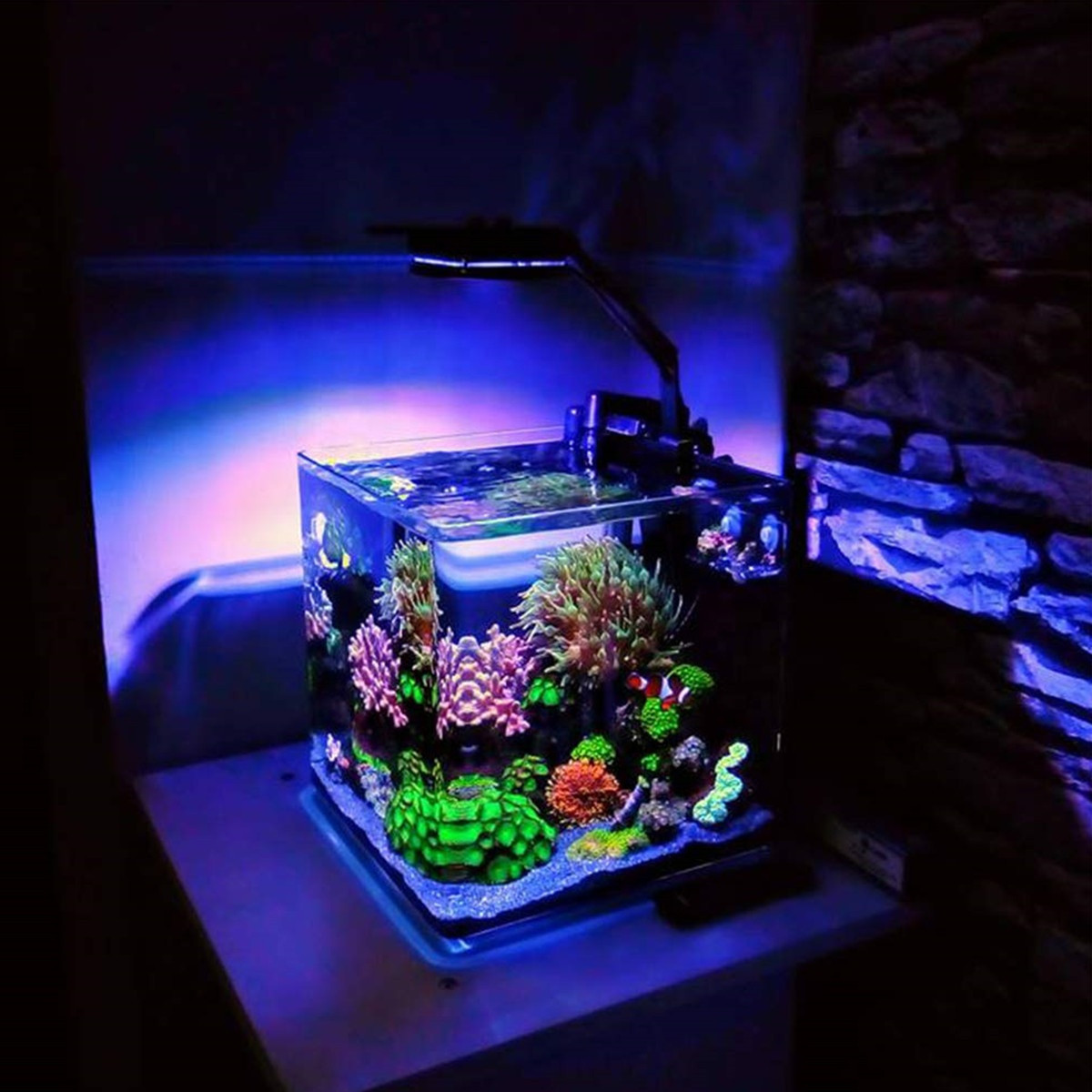 China Factory 30w Aquarium Background Light Egb Light Reef Aquarium 45 ...