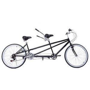 2 person surrey bike