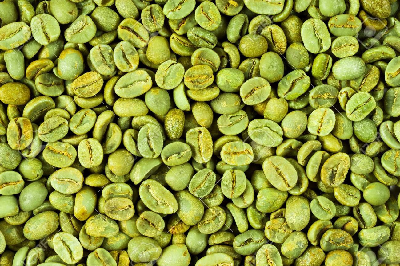 green coffee bean wholesalers