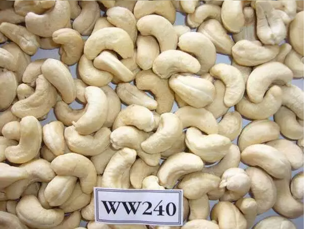 cashew suppliers