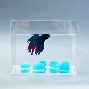 plastic fish aquarium