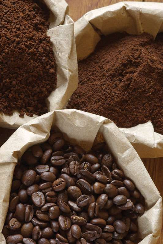 Coffee Beans Suppliers Distributors Wholesalers Retailers Tradewheel