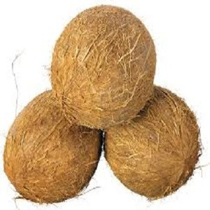 importing coconuts to usa