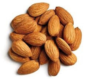 Almonds Almond Nuts Raw Bitter And Sweet Kernels Almonds Almond Nuts Raw Bitter And Sweet Kernels Suppliers Manufacturers Tradewheel