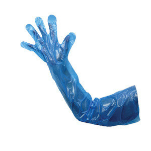 veterinary gloves