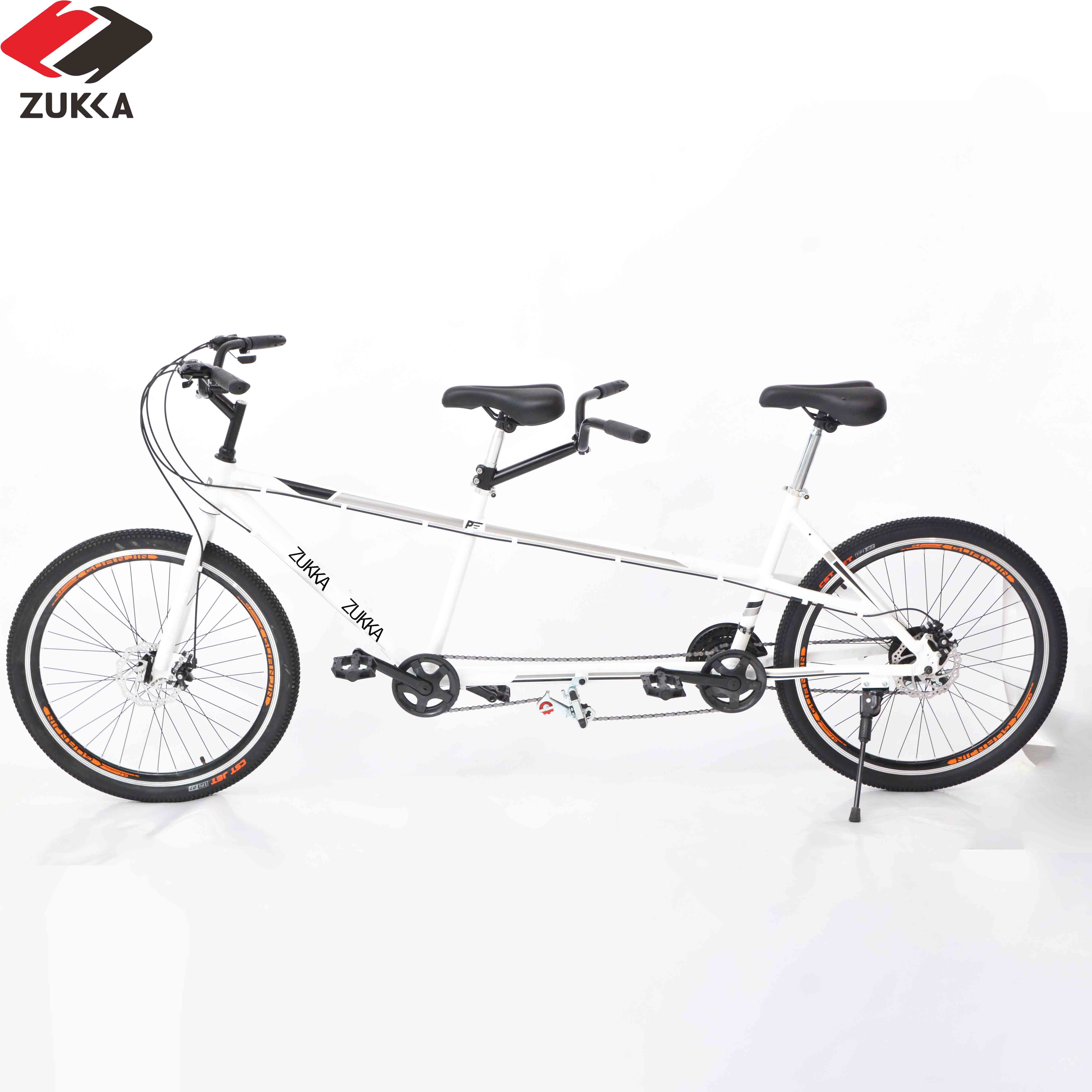 2 rider bike