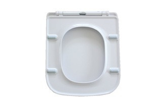 european toilet seat