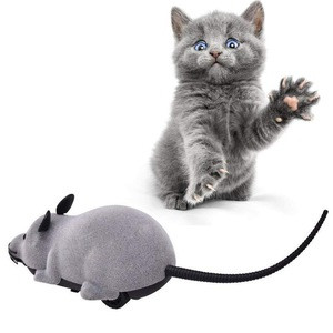 rc mouse for cats