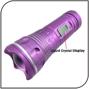 fishing lights with stand