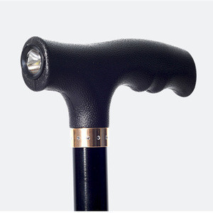 alpenstock trekking pole
