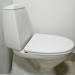 egg shaped toilet seat