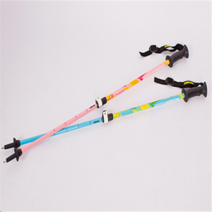 alpine touring ski poles