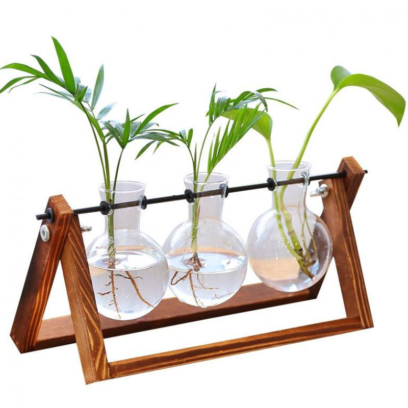 Creative Glass Tabletop Flower Vase Hydroponic Plant Home Decor