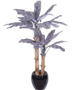 Bonsai Suppliers Distributors Exporters Brokers Tradewheel