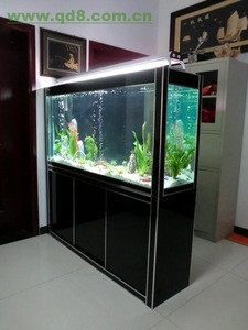fish tank singapore supplier