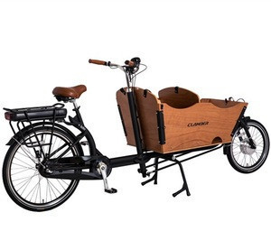 dutch tricycle