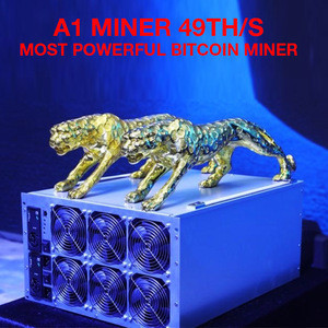 a1 miner 49th