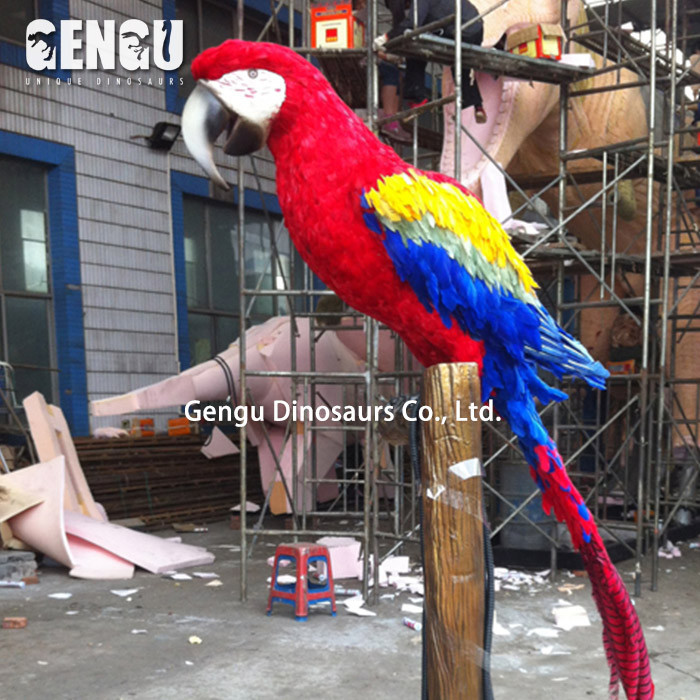 parrot suppliers