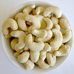 cashew manufacturers