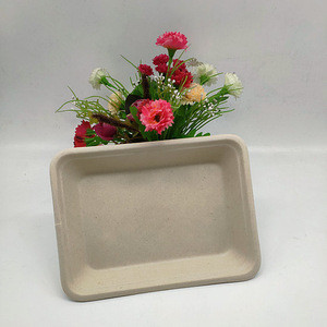 food tray manufacturers