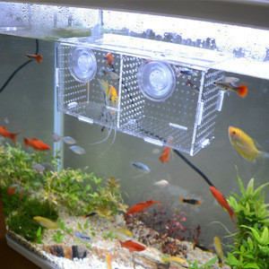 fish tank wholesale suppliers