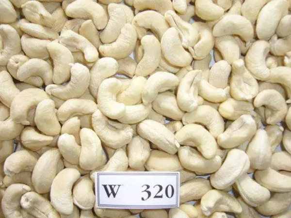 cashew manufacturers