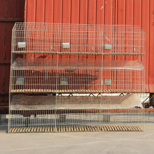 rabbit cage low price