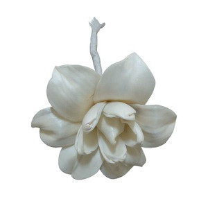 High Quality Top Selling Scented Sola Wood Dried Flower High Quality Top Selling Scented Sola Wood Dried Flower Suppliers Manufacturers Tradewheel