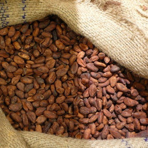 Import Best Price Cocoa Beans For The Buyers From Uganda Africa Fermented 5 Days Organic Fair Trade From Uganda Find Fob Prices Tradewheel Com