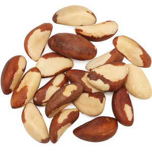 Raw Brazil Nuts / Brazil Nuts 