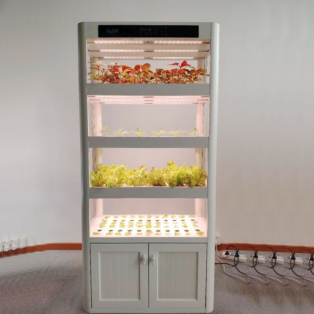 Hydroponic Systems Greenhouse Supplies Indoor Hydroponic Growing